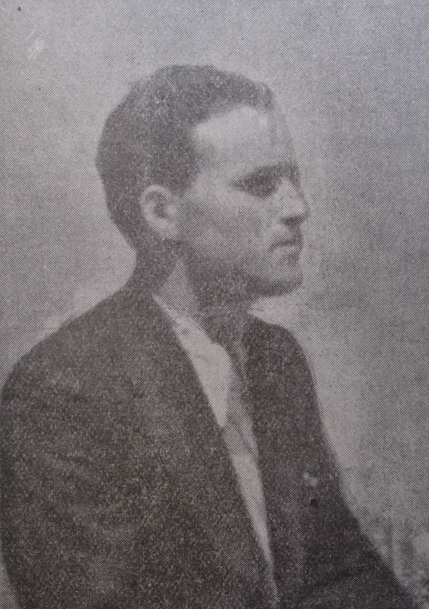 Albo