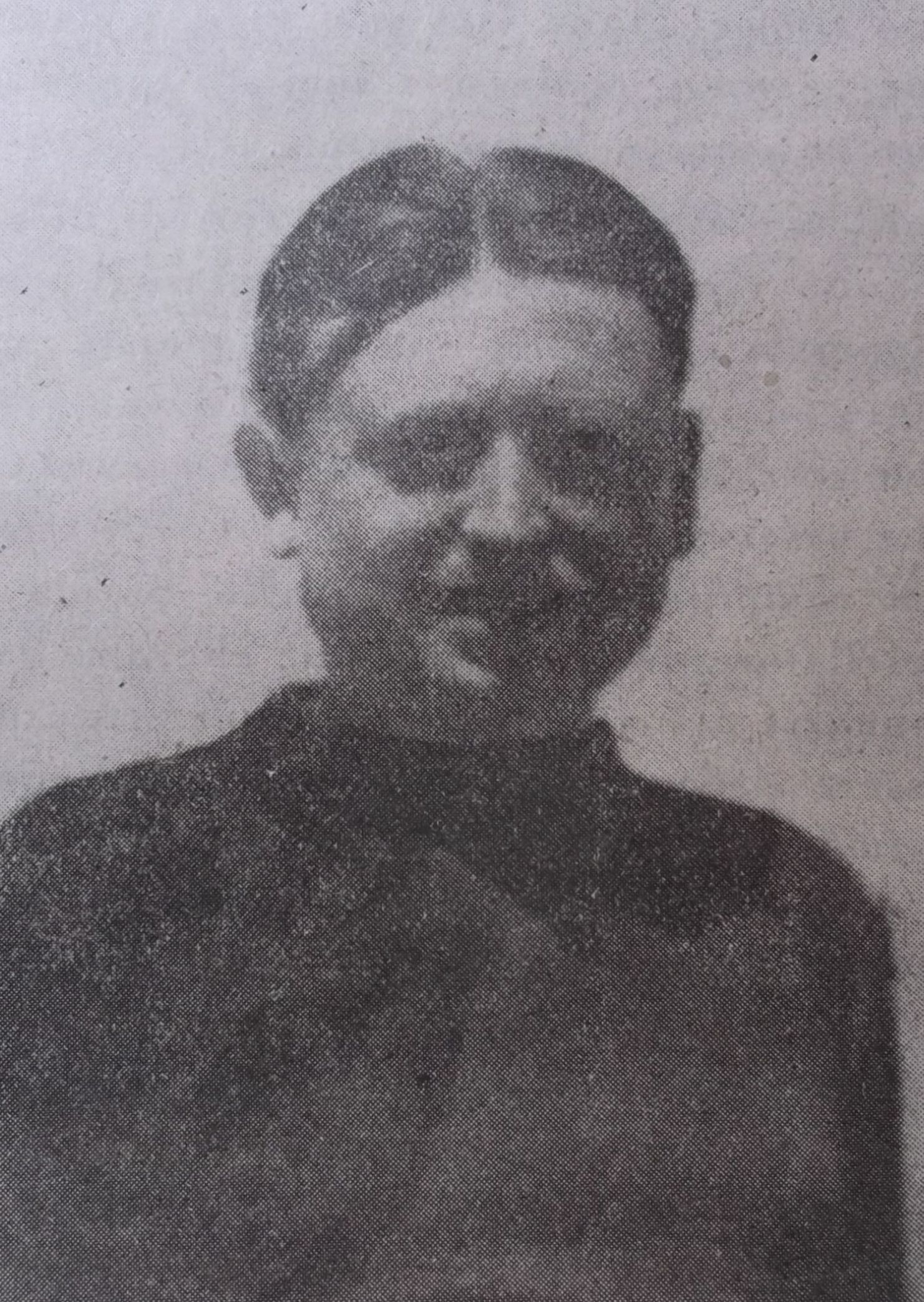 Albo