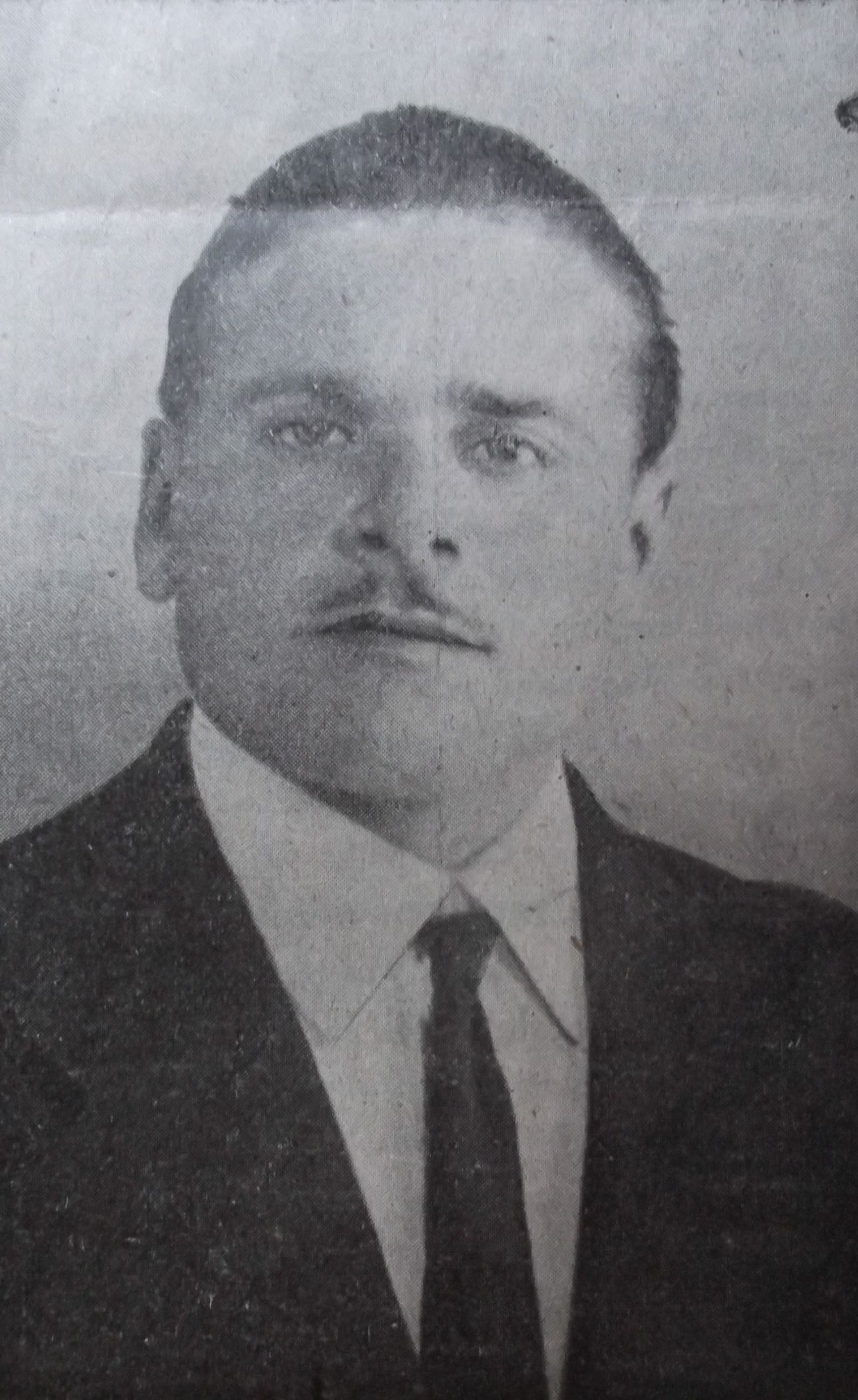 Albo