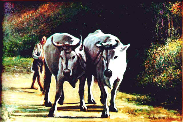 pittura ad olio �Due Buoi� di Ernesto Aurini